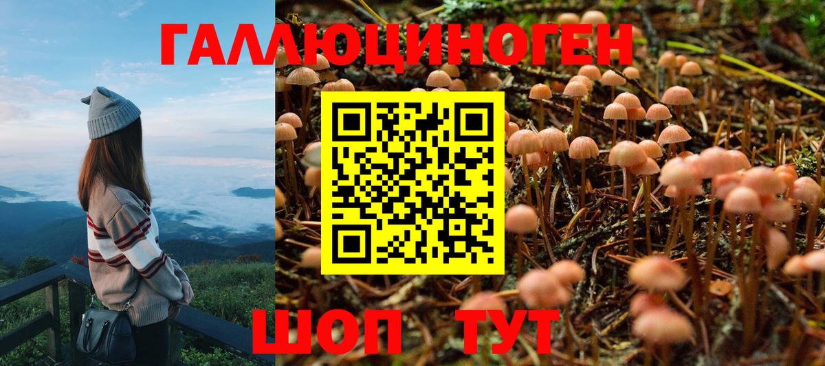 Метамфетамин  MDMA  Вход с VPN  Бошки Шишки  Codein  Мефедрон кристаллы  Балашов  МЕТАДОН  Кокаин  ГАШИШ  Меф  Гашиш 